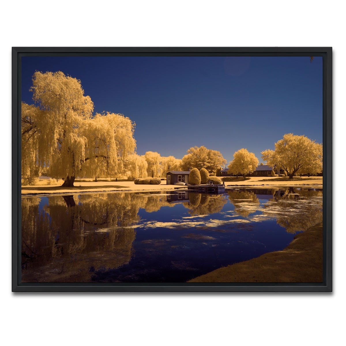AUTO-MOCKUP WHITE | Lippold Park | 1 Piece | Black Framed Canvas | group=4x3