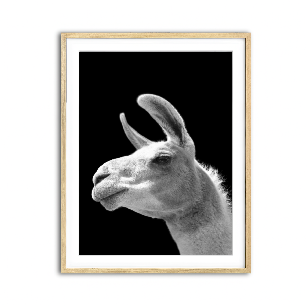 Framed Print 3x4 Natural