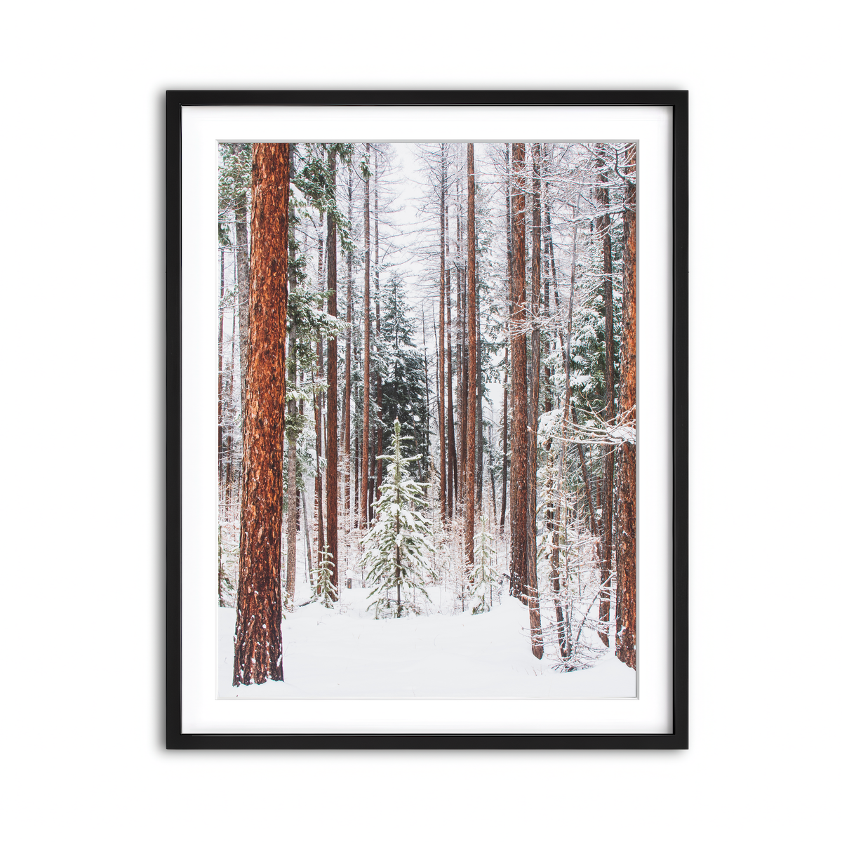 Framed Print 3x4 Black