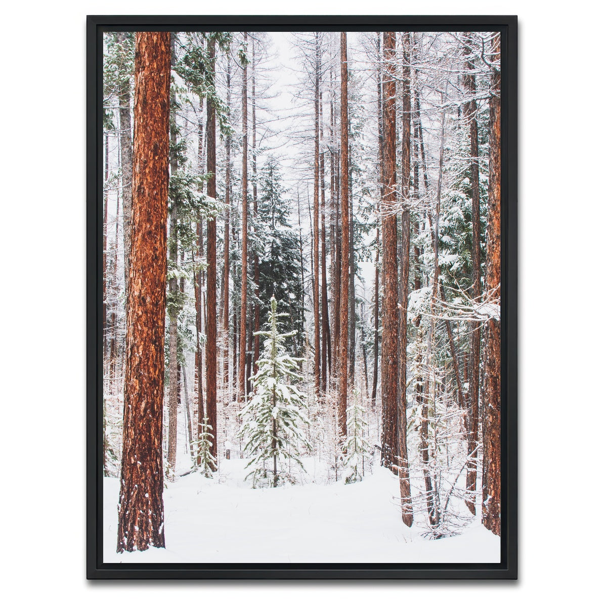 AUTO-MOCKUP WHITE | Lois Creek | 1 Piece | Black Framed Canvas | group=3x4