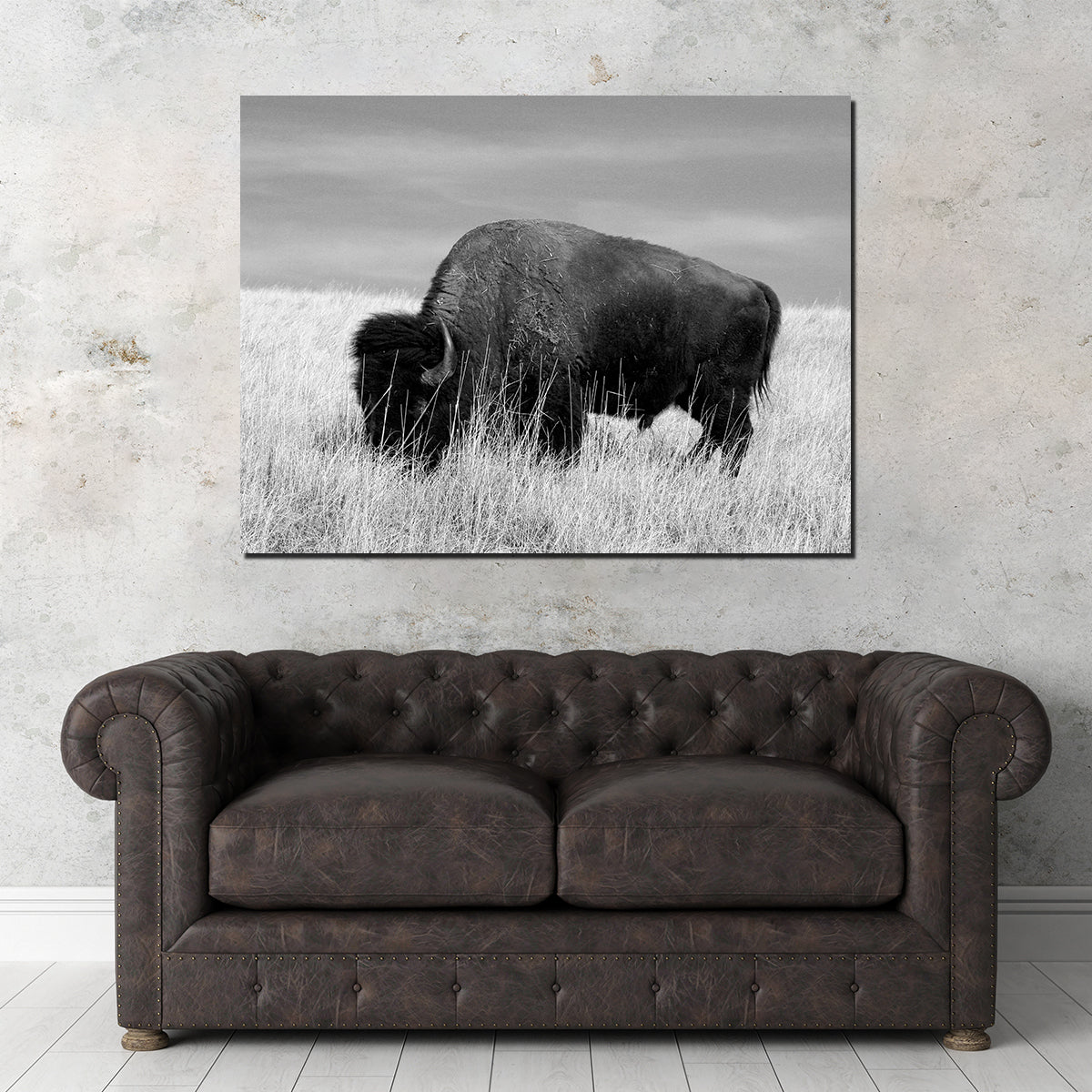 Lone Buffalo Grayscale Wall Art