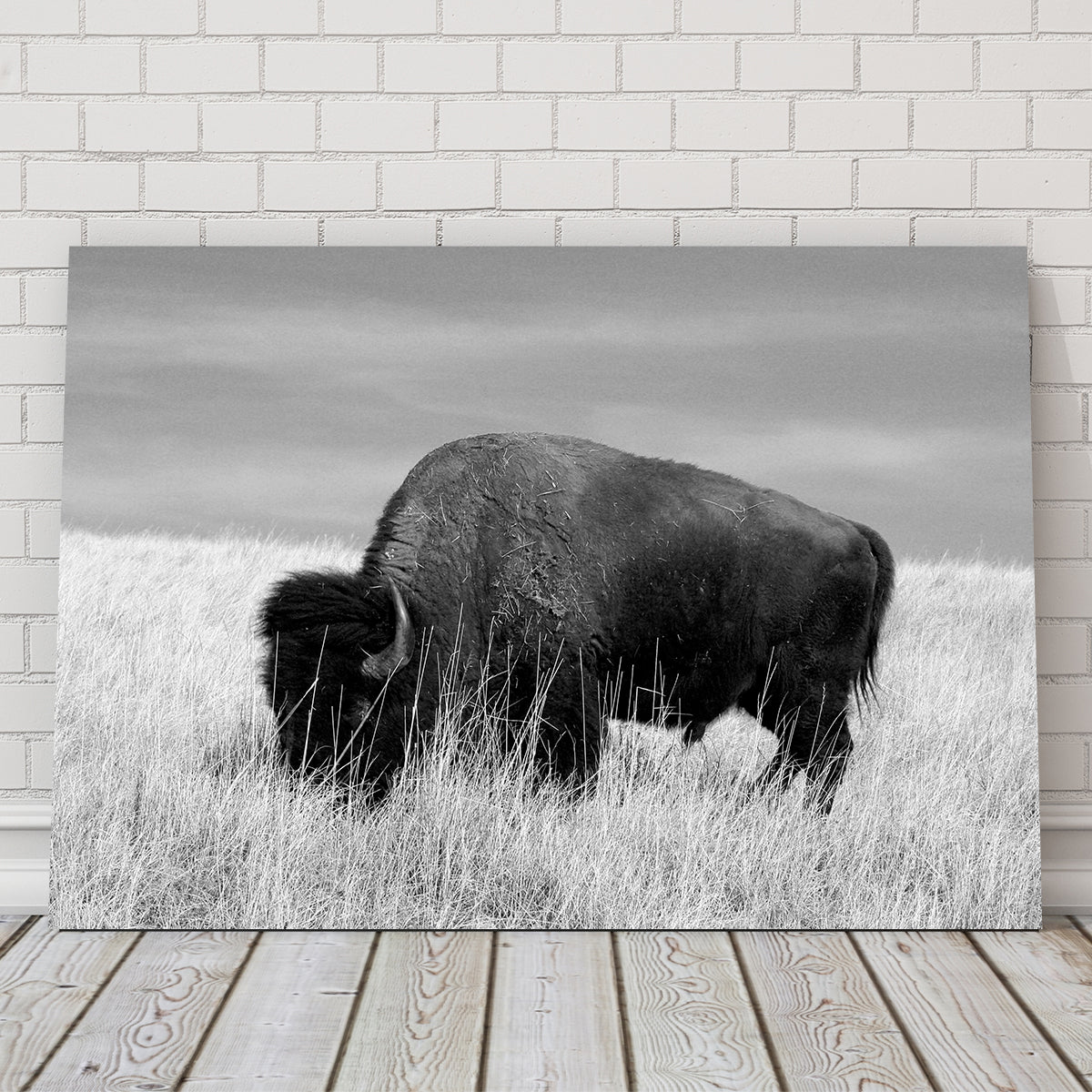 Lone Buffalo Grayscale Wall Art