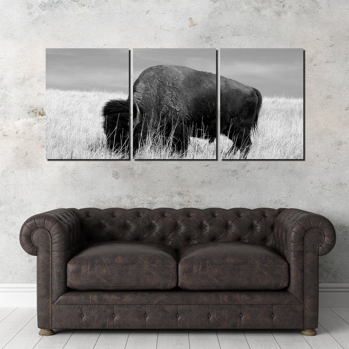 Lone Buffalo Grayscale Wall Art