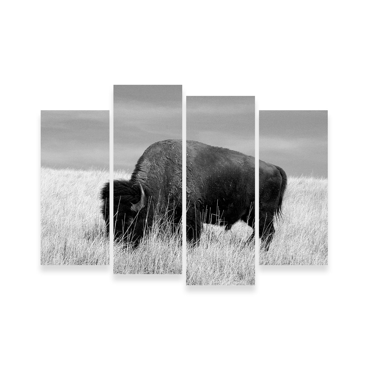 Lone Buffalo Grayscale Wall Art