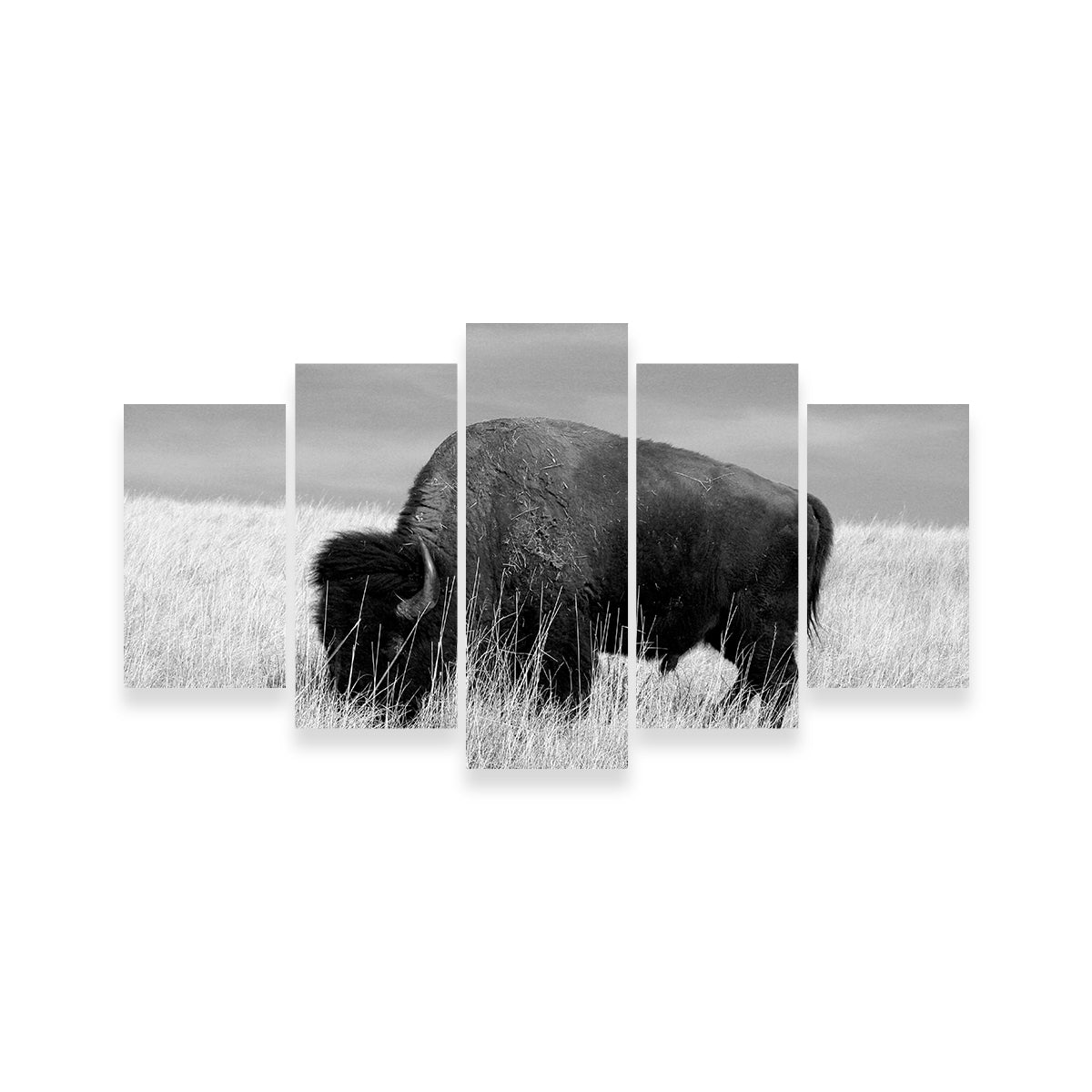 Lone Buffalo Grayscale Wall Art