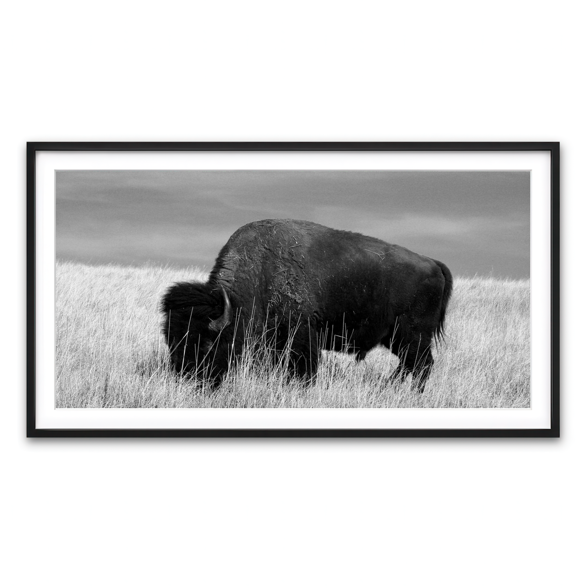 Framed Print 2x1 Black