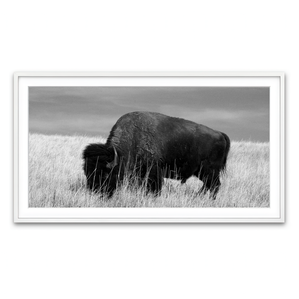 Framed Print 2x1 White