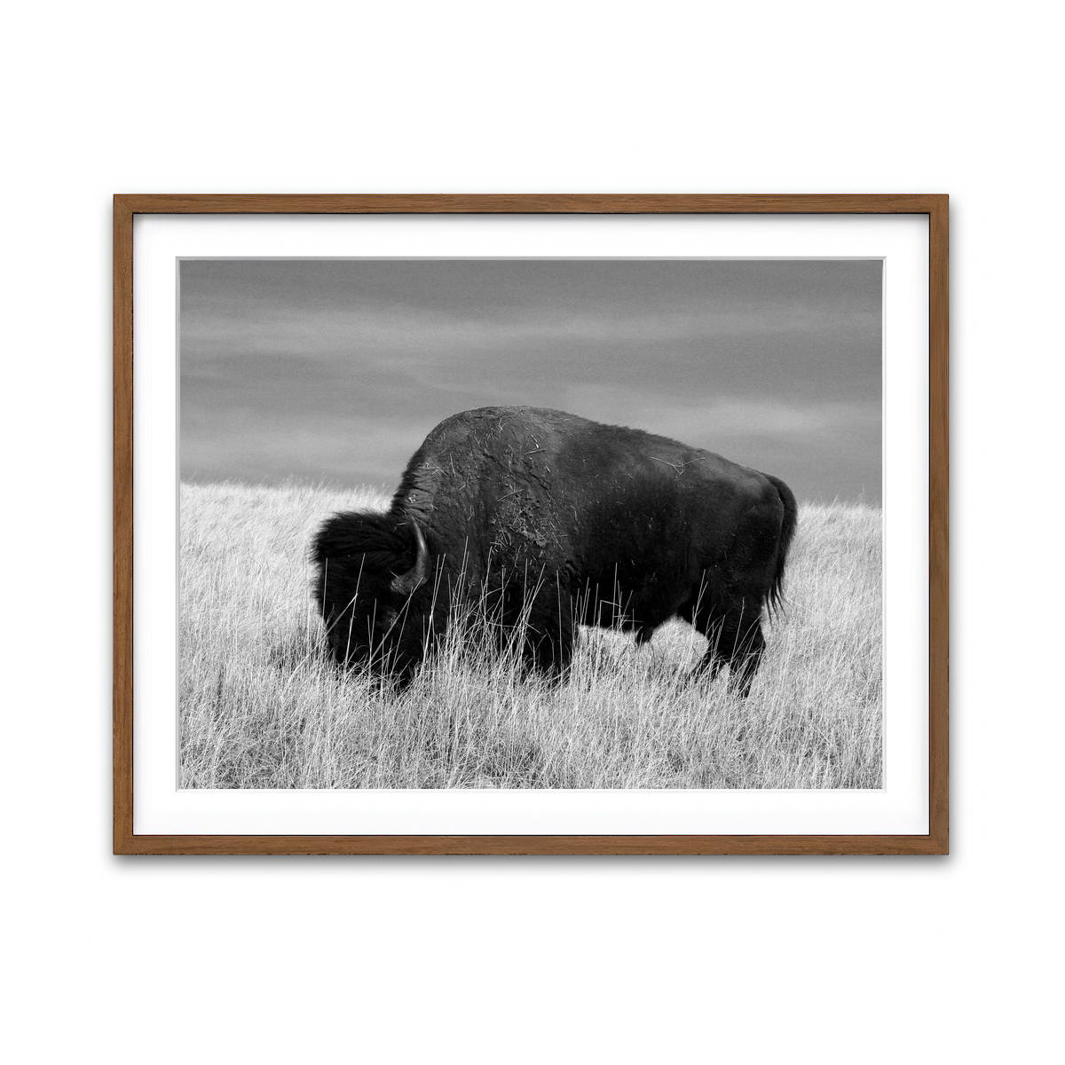 Framed Print 4x3 Walnut