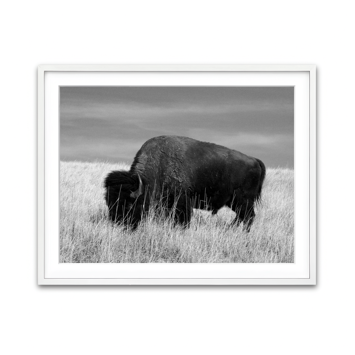 Framed Print 4x3 White