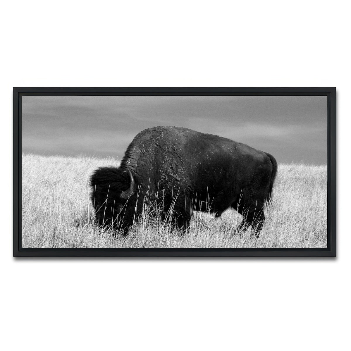 AUTO-MOCKUP WHITE | Lone Buffalo Grayscale | 1 Piece | Black Framed Canvas | group=2x1