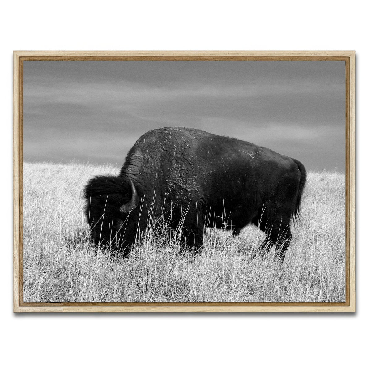 AUTO-MOCKUP WHITE | Lone Buffalo Grayscale | 1 Piece | Natural Framed Canvas | group=4x3