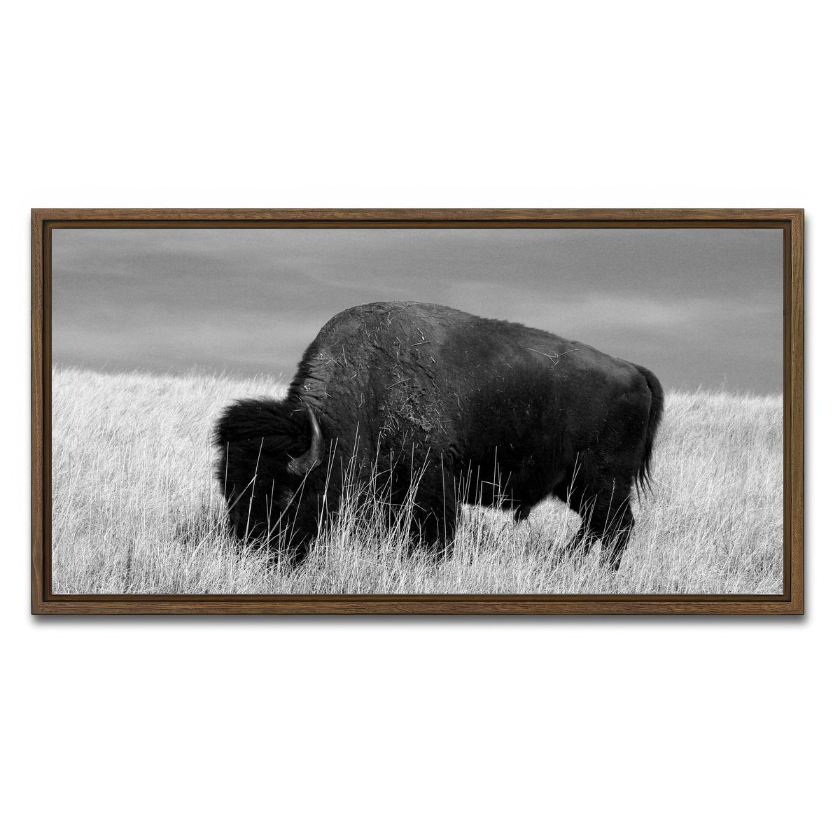 AUTO-MOCKUP WHITE | Lone Buffalo Grayscale | 1 Piece | Walnut Framed Canvas | group=2x1