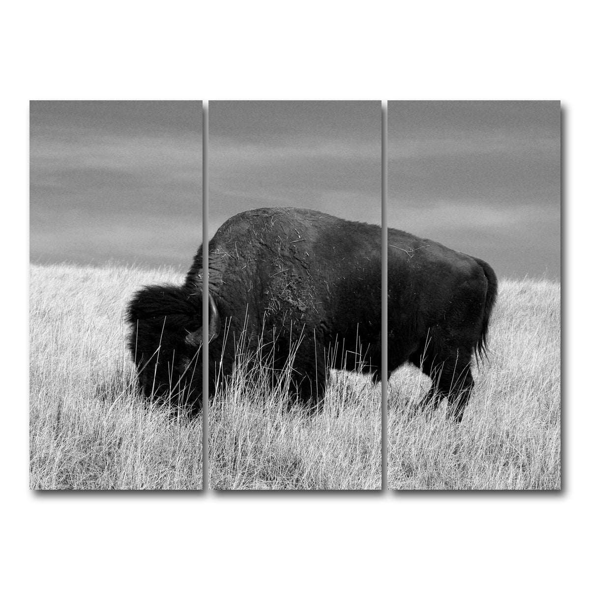 AUTO-MOCKUP WHITE | Lone Buffalo Grayscale | 3 Piece | Gallery Wrap Canvas | group=8x18