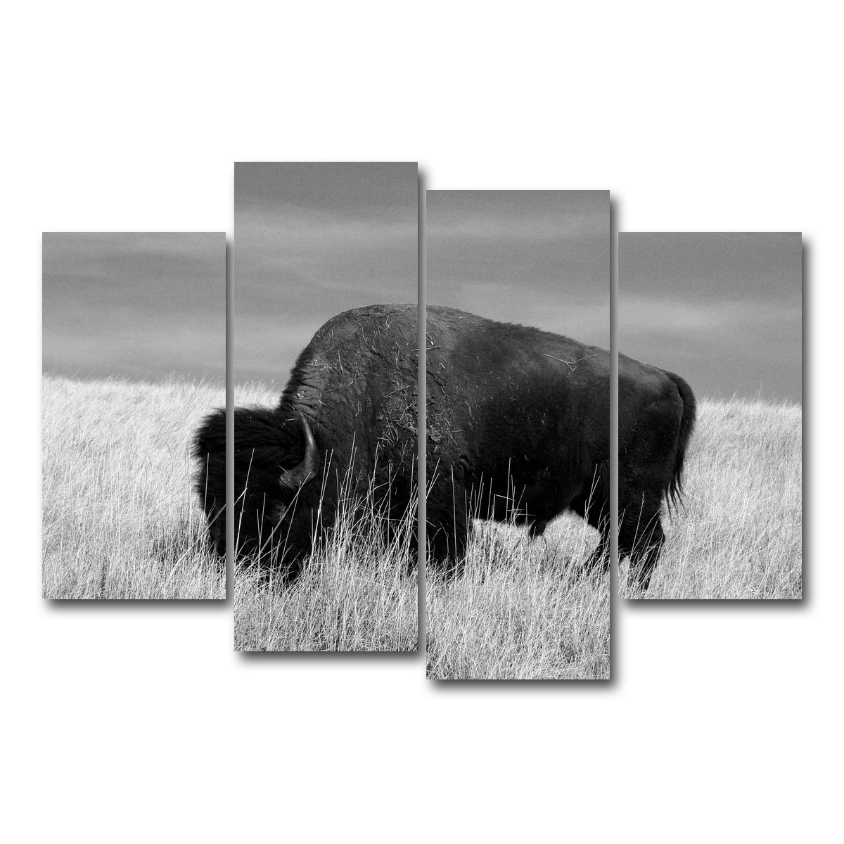 AUTO-MOCKUP WHITE | Lone Buffalo Grayscale | 4 Piece | Gallery Wrap Canvas | group=4_short