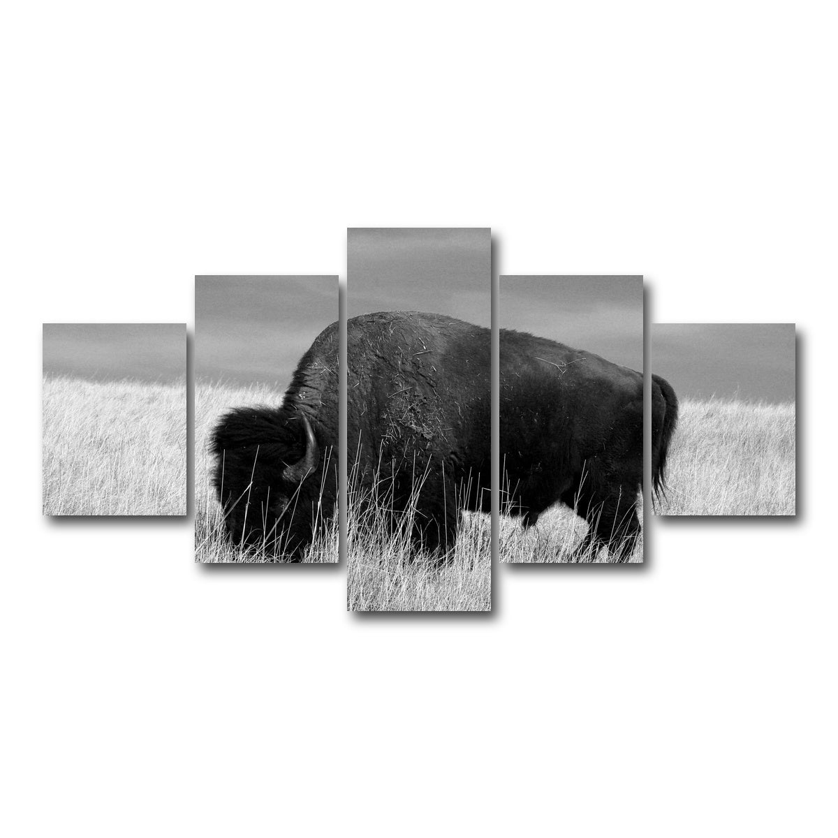 AUTO-MOCKUP WHITE | Lone Buffalo Grayscale | 5 Piece | Gallery Wrap Canvas | group=5_short