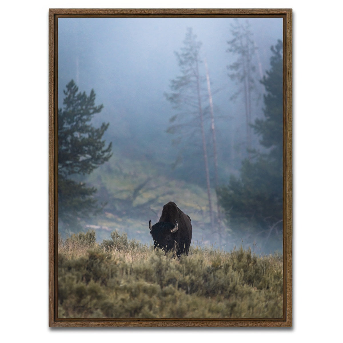 AUTO-MOCKUP WHITE | Lone Buffalo | 1 Piece | Walnut Framed Canvas | group=3x4