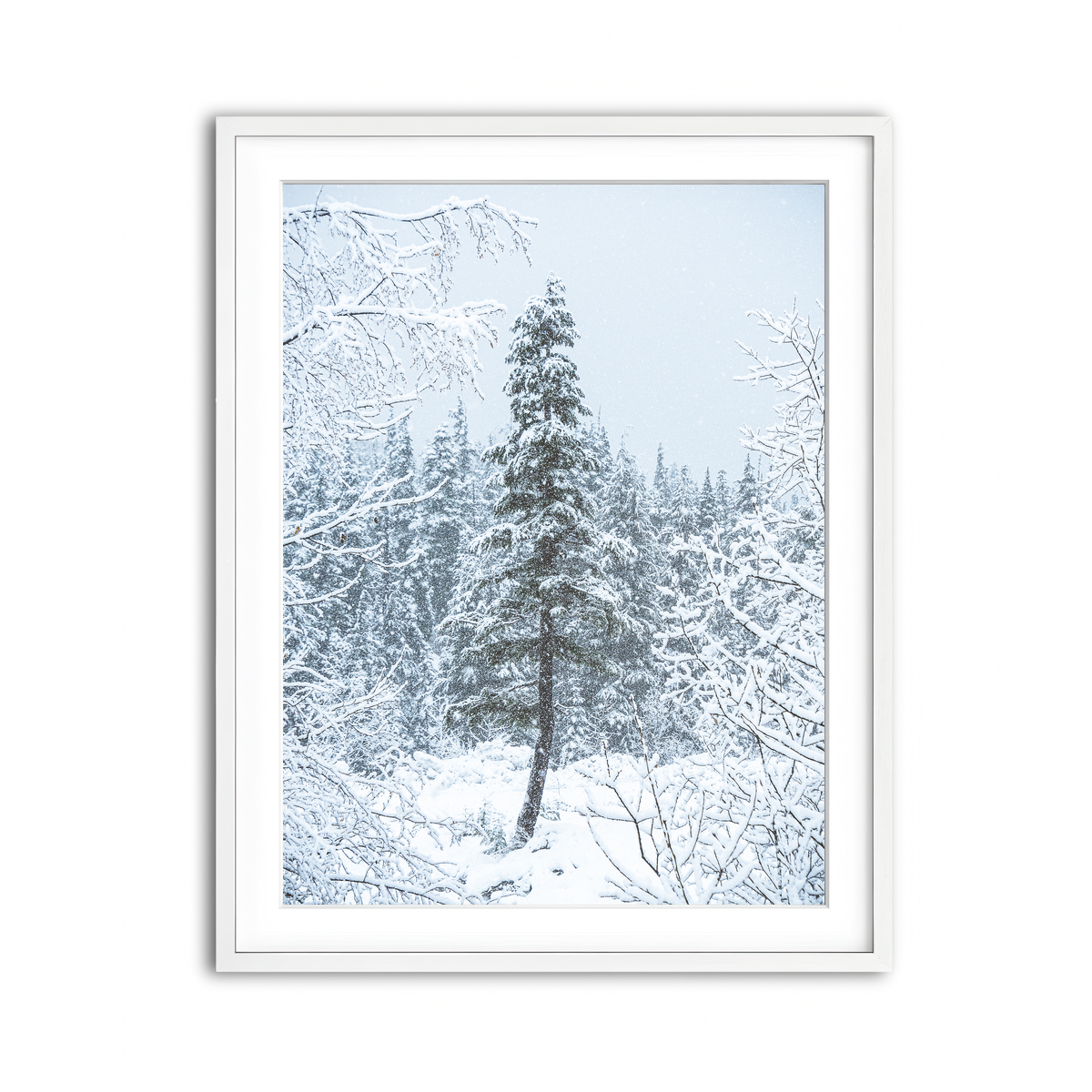 Framed Print 3x4 White
