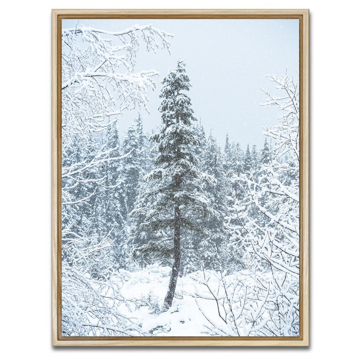 AUTO-MOCKUP WHITE | Lone Tree | 1 Piece | Natural Framed Canvas | group=3x4