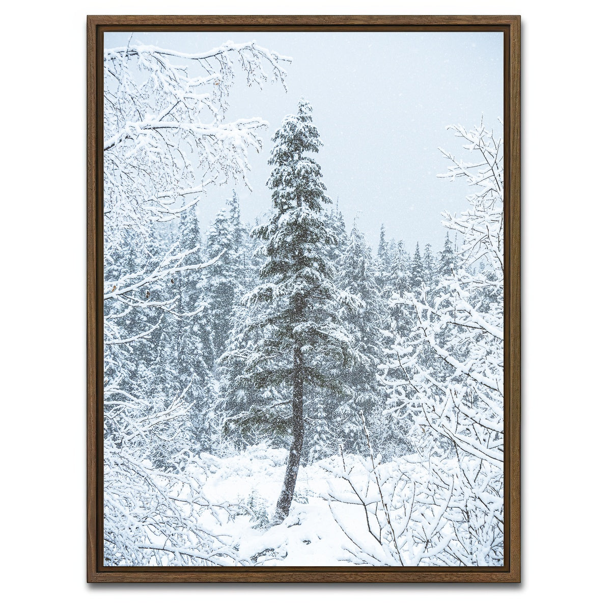 AUTO-MOCKUP WHITE | Lone Tree | 1 Piece | Walnut Framed Canvas | group=3x4