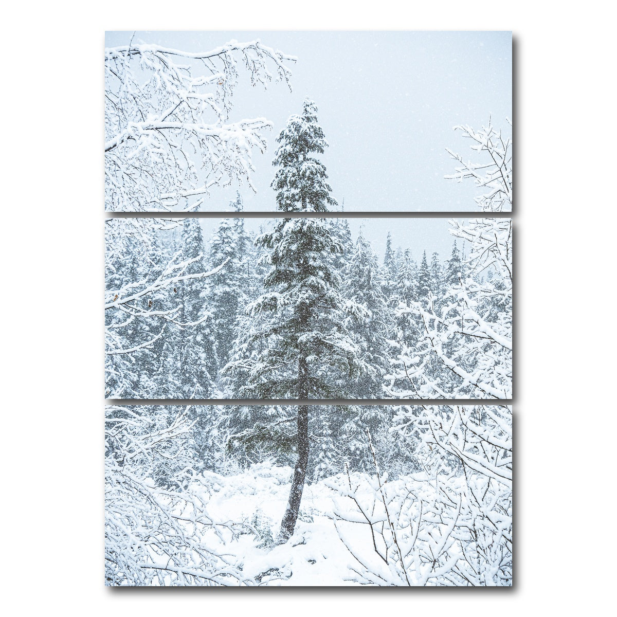 AUTO-MOCKUP WHITE | Lone Tree | 3 Piece | Gallery Wrap Canvas | group=8x18_stacked