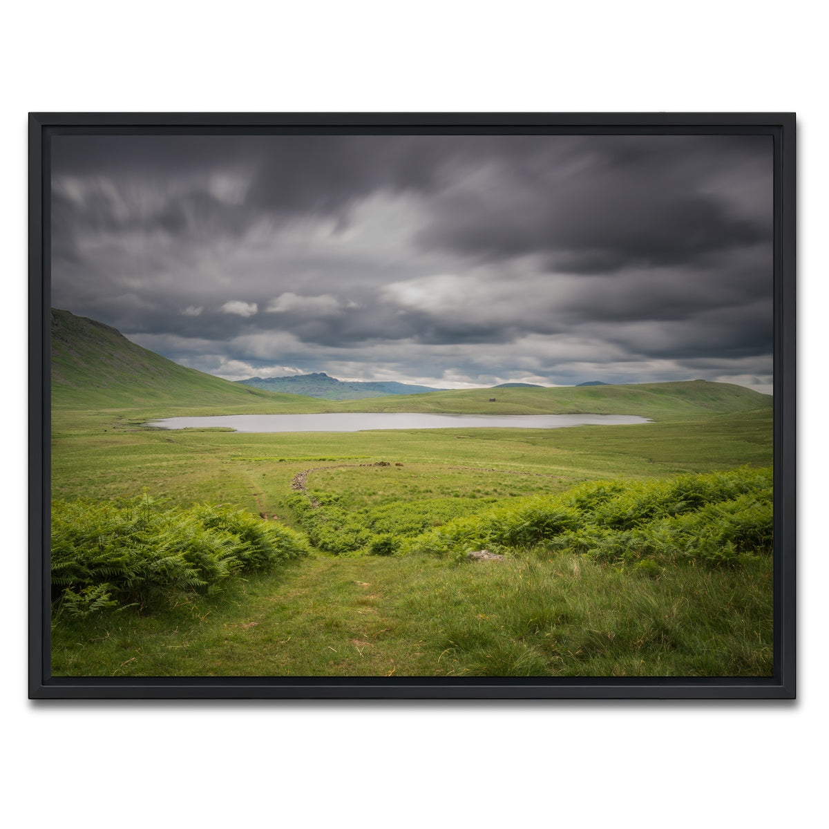 AUTO-MOCKUP WHITE | Lonely Pond | 1 Piece | Black Framed Canvas | group=4x3