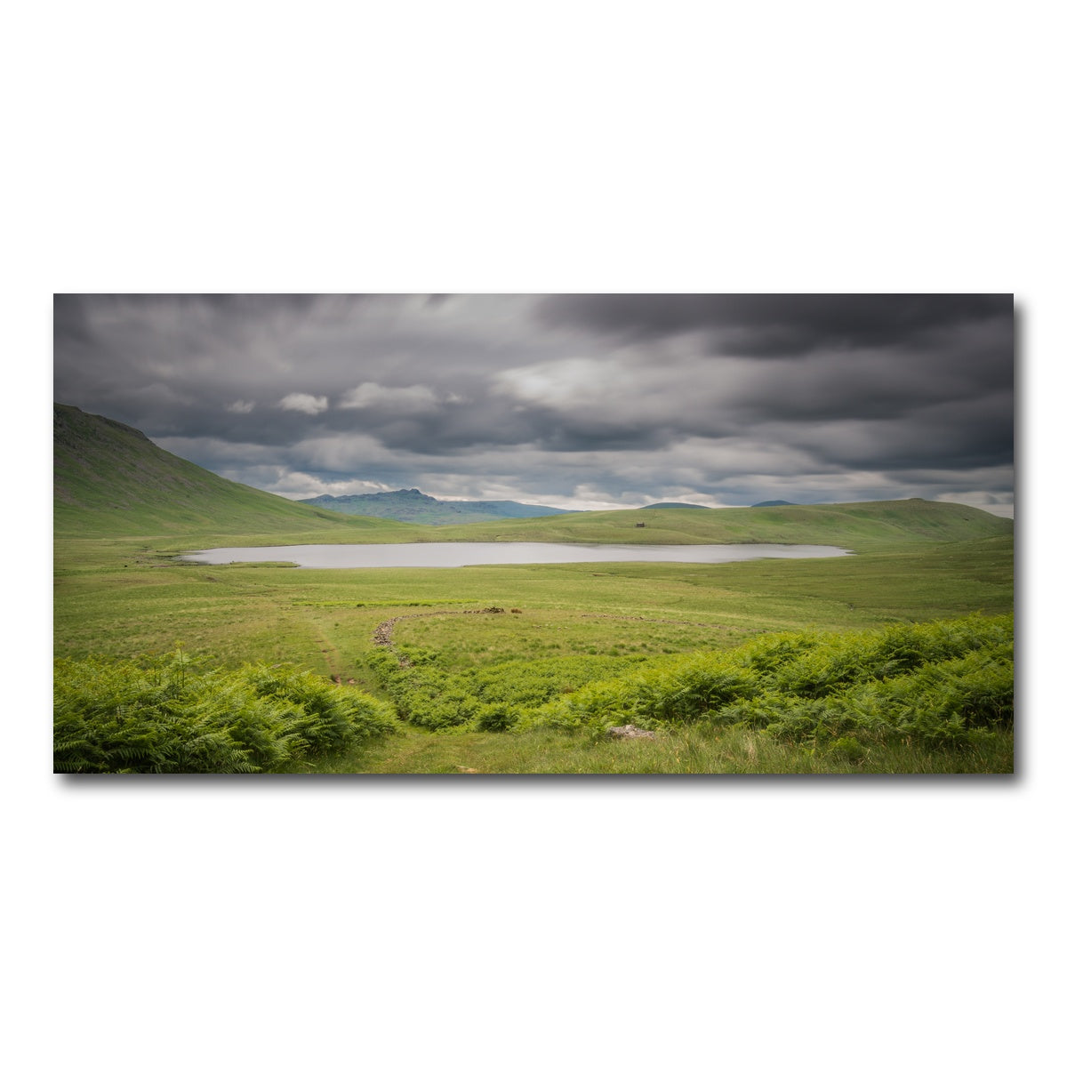 AUTO-MOCKUP WHITE | Lonely Pond | 1 Piece | Gallery Wrap Canvas | group=2x1