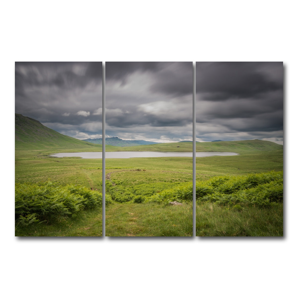AUTO-MOCKUP WHITE | Lonely Pond | 3 Piece | Gallery Wrap Canvas | group=12x24