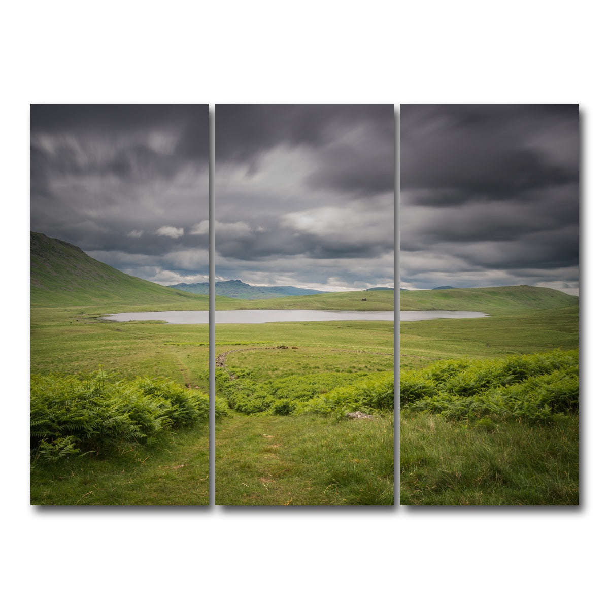 AUTO-MOCKUP WHITE | Lonely Pond | 3 Piece | Gallery Wrap Canvas | group=8x18