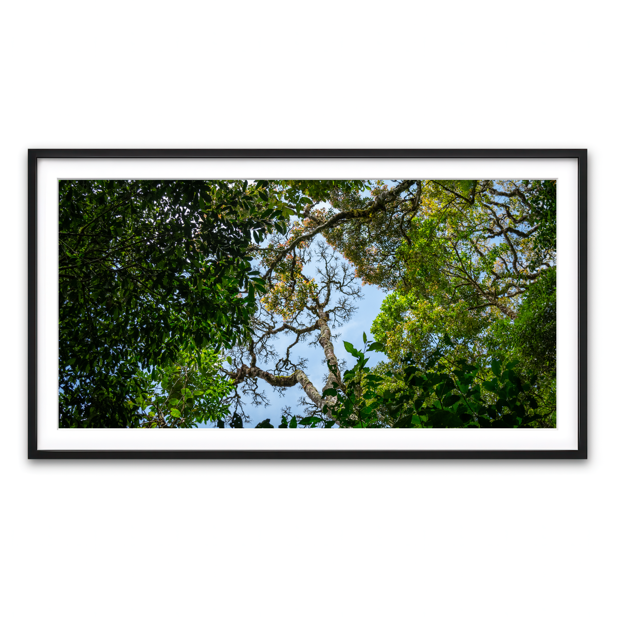 Framed Print 2x1 Black