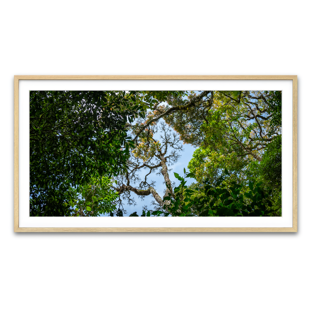 Framed Print 2x1 Natural