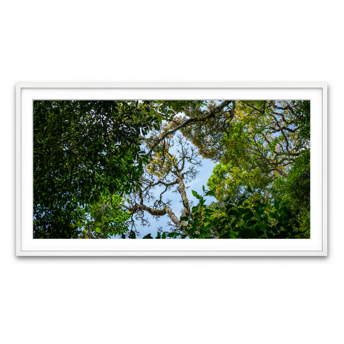 Framed Print 2x1 White