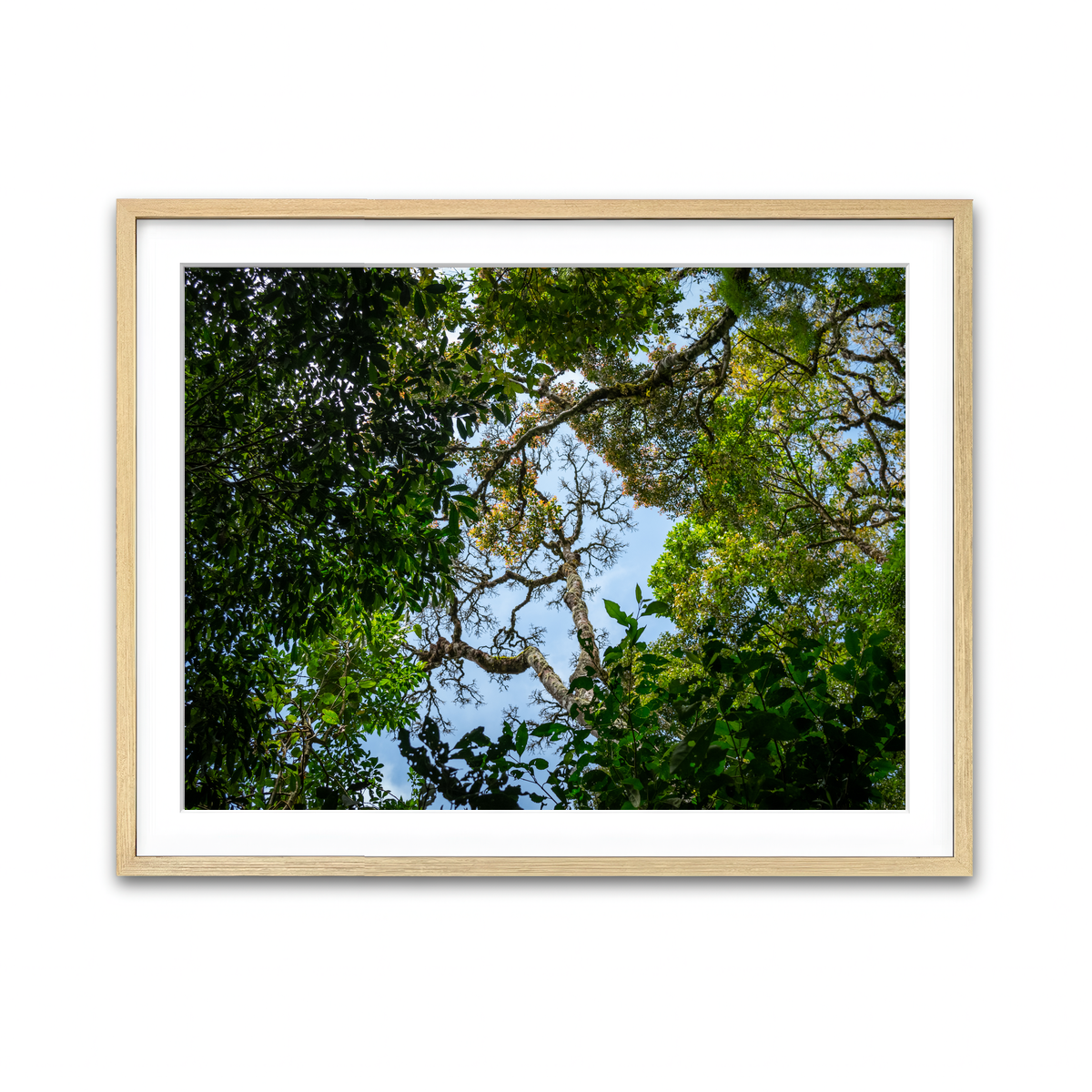 Framed Print 4x3 Natural