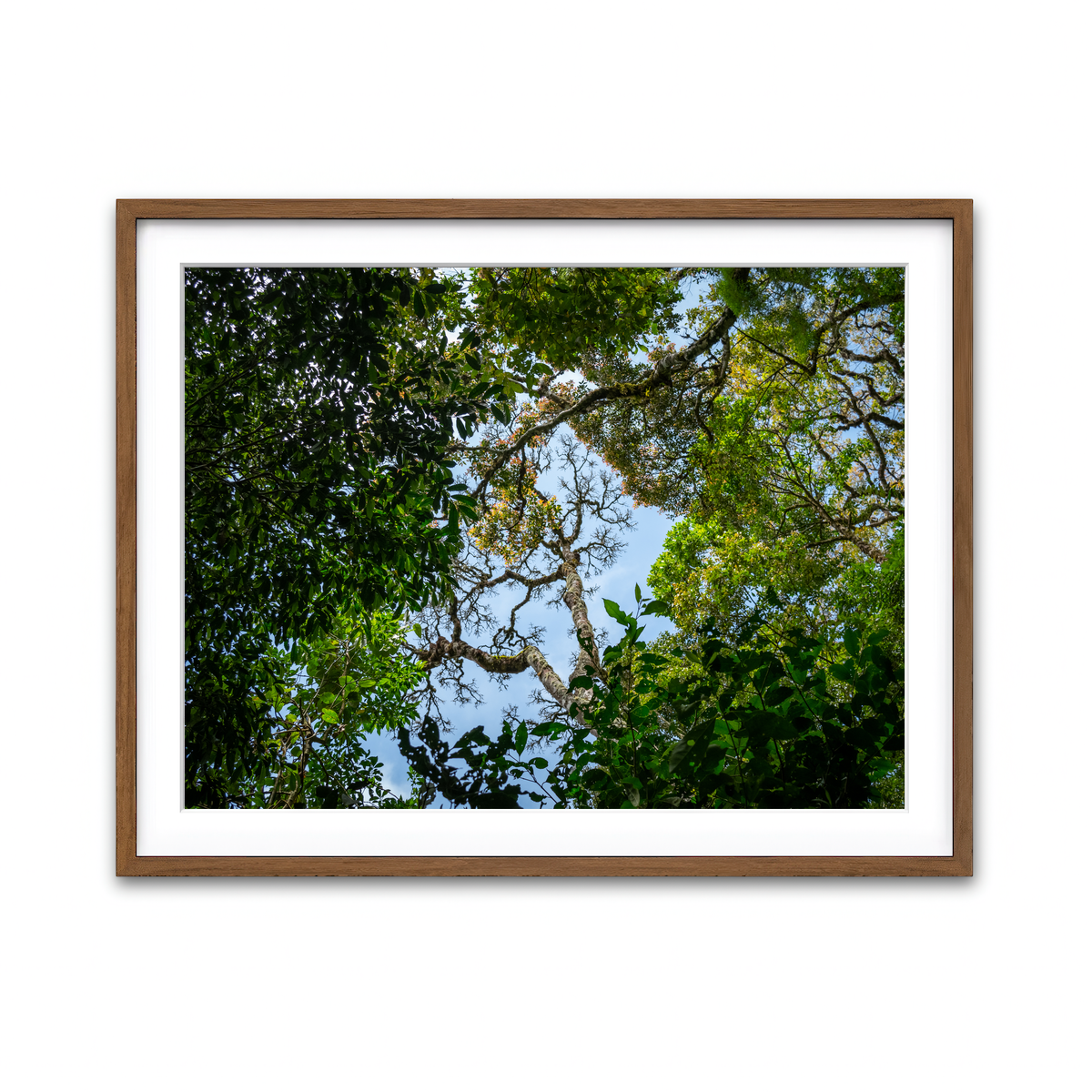 Framed Print 4x3 Walnut