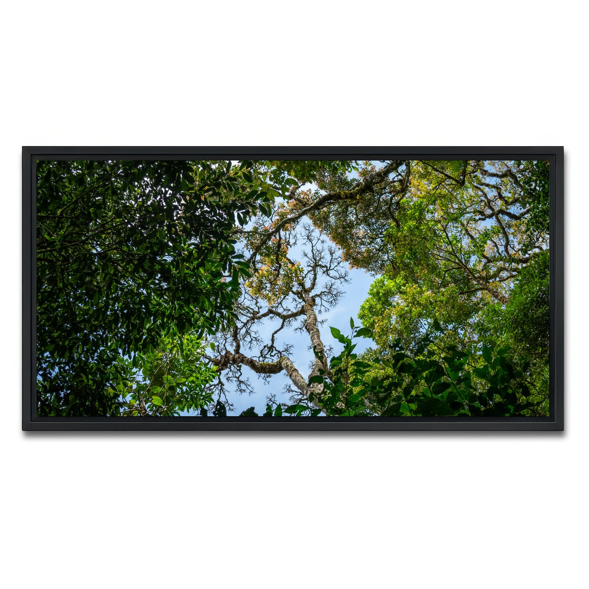 AUTO-MOCKUP WHITE | Look up in the forest | 1 Piece | Black Framed Canvas | group=2x1