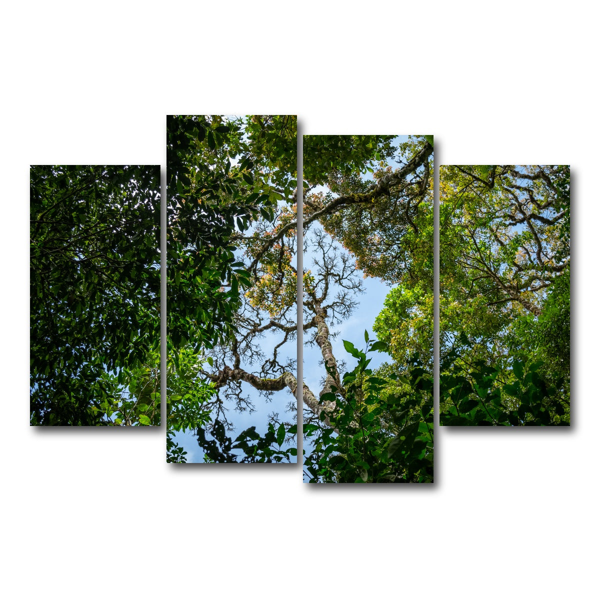 AUTO-MOCKUP WHITE | Look up in the forest | 4 Piece | Gallery Wrap Canvas | group=4_short