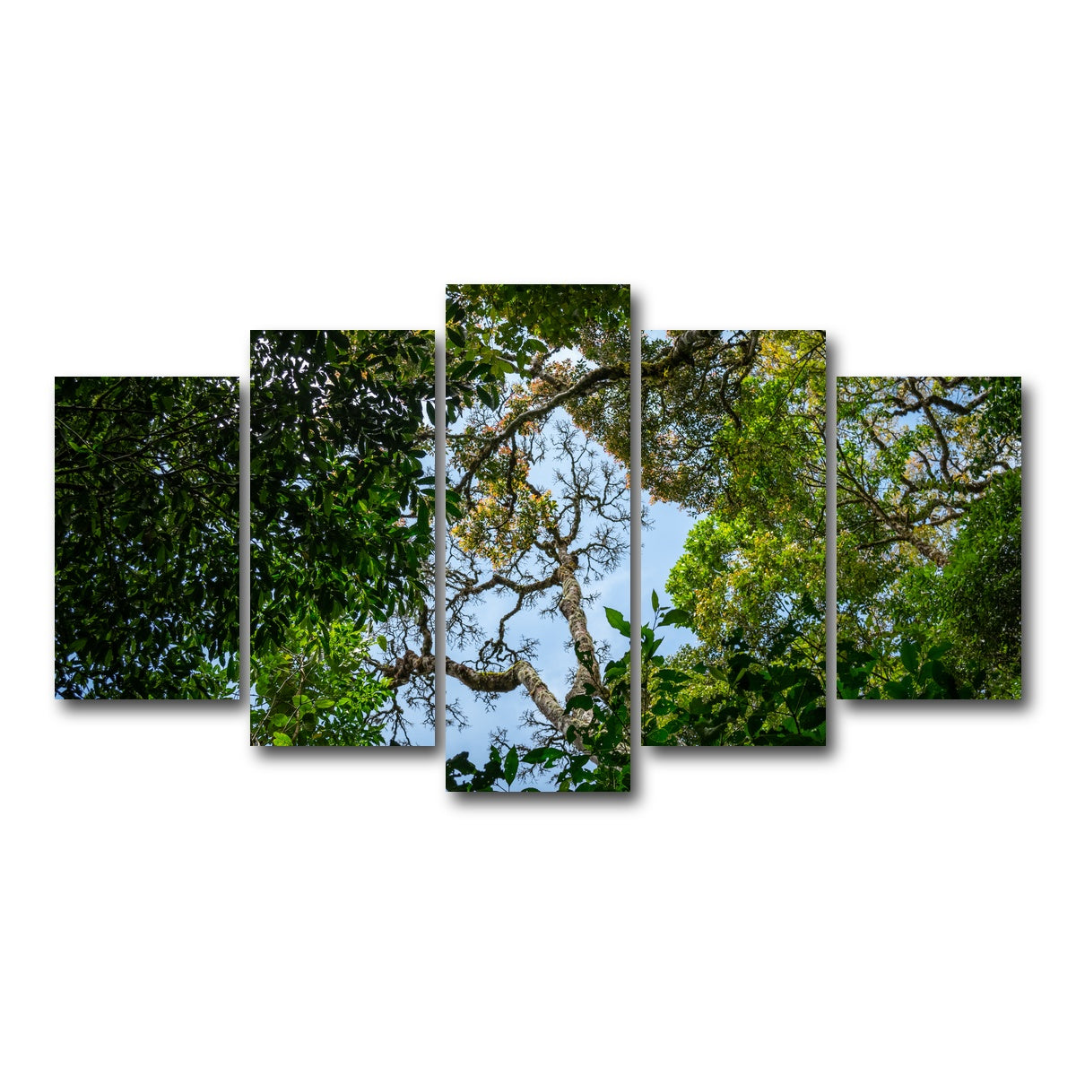 AUTO-MOCKUP WHITE | Look up in the forest | 5 Piece | Gallery Wrap Canvas | group=5_normal