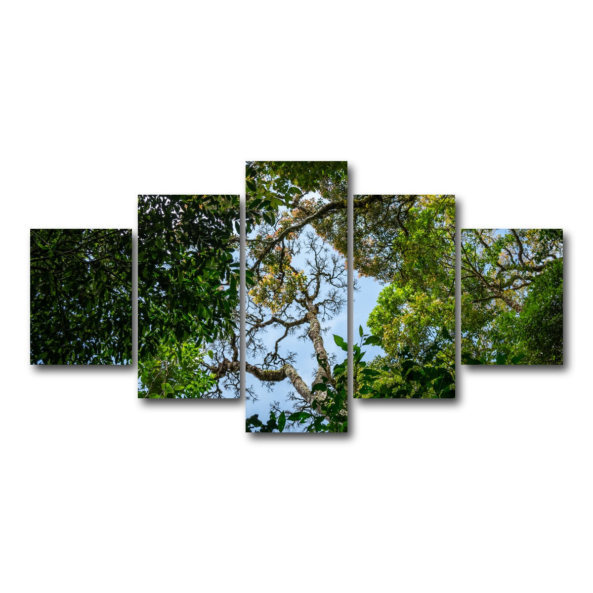 AUTO-MOCKUP WHITE | Look up in the forest | 5 Piece | Gallery Wrap Canvas | group=5_short