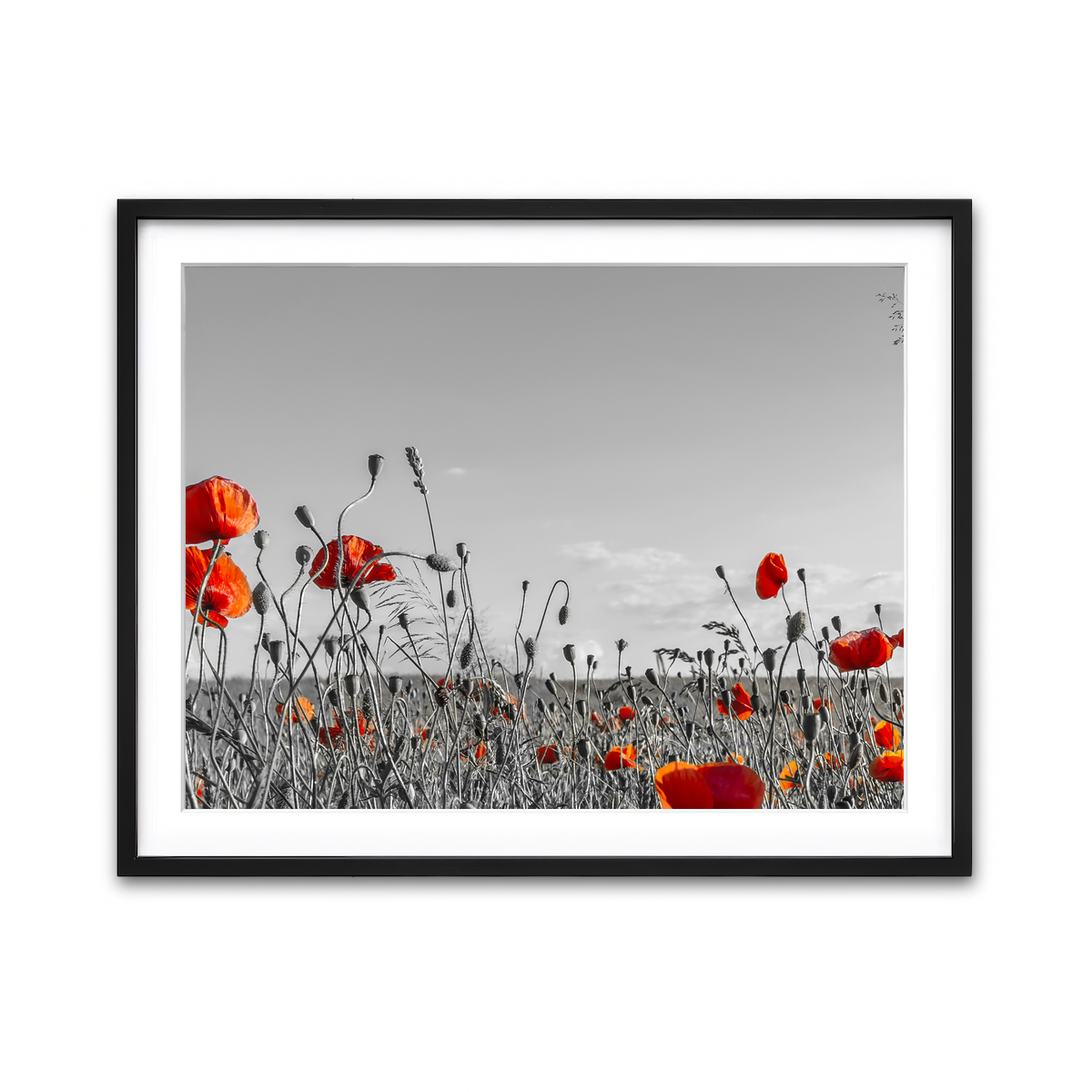 Framed Print 4x3 Black