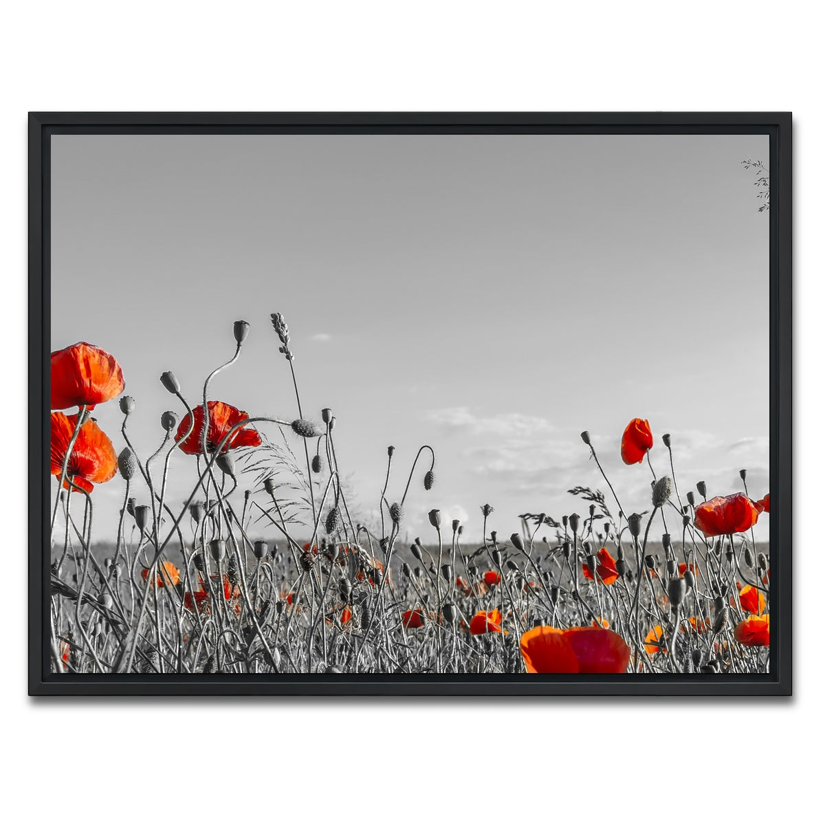 AUTO-MOCKUP WHITE | Lovely Poppy Field | 1 Piece | Black Framed Canvas | group=4x3