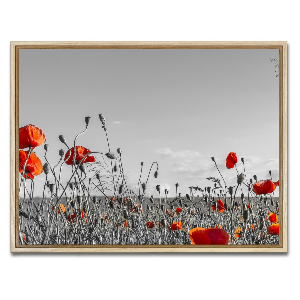 AUTO-MOCKUP WHITE | Lovely Poppy Field | 1 Piece | Natural Framed Canvas | group=4x3