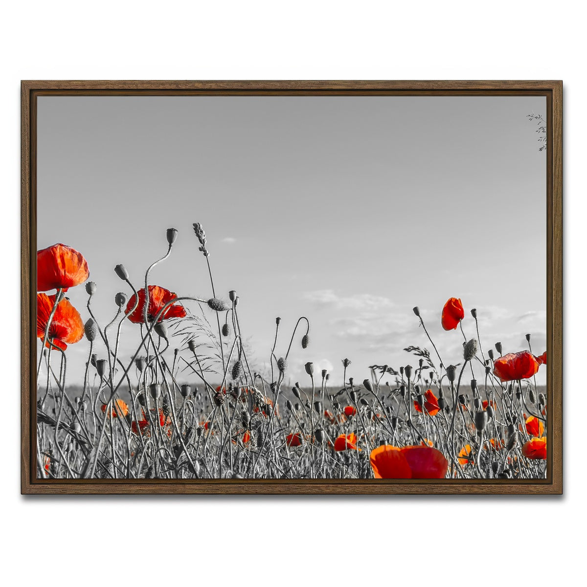 AUTO-MOCKUP WHITE | Lovely Poppy Field | 1 Piece | Walnut Framed Canvas | group=4x3