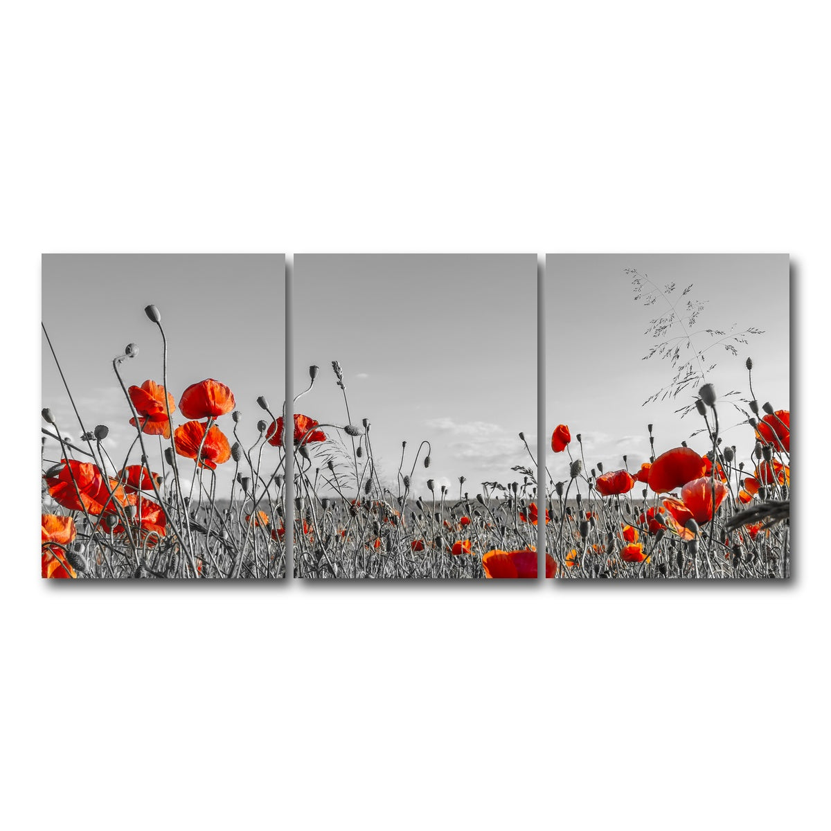 AUTO-MOCKUP WHITE | Lovely Poppy Field | 3 Piece | Gallery Wrap Canvas | group=18x24