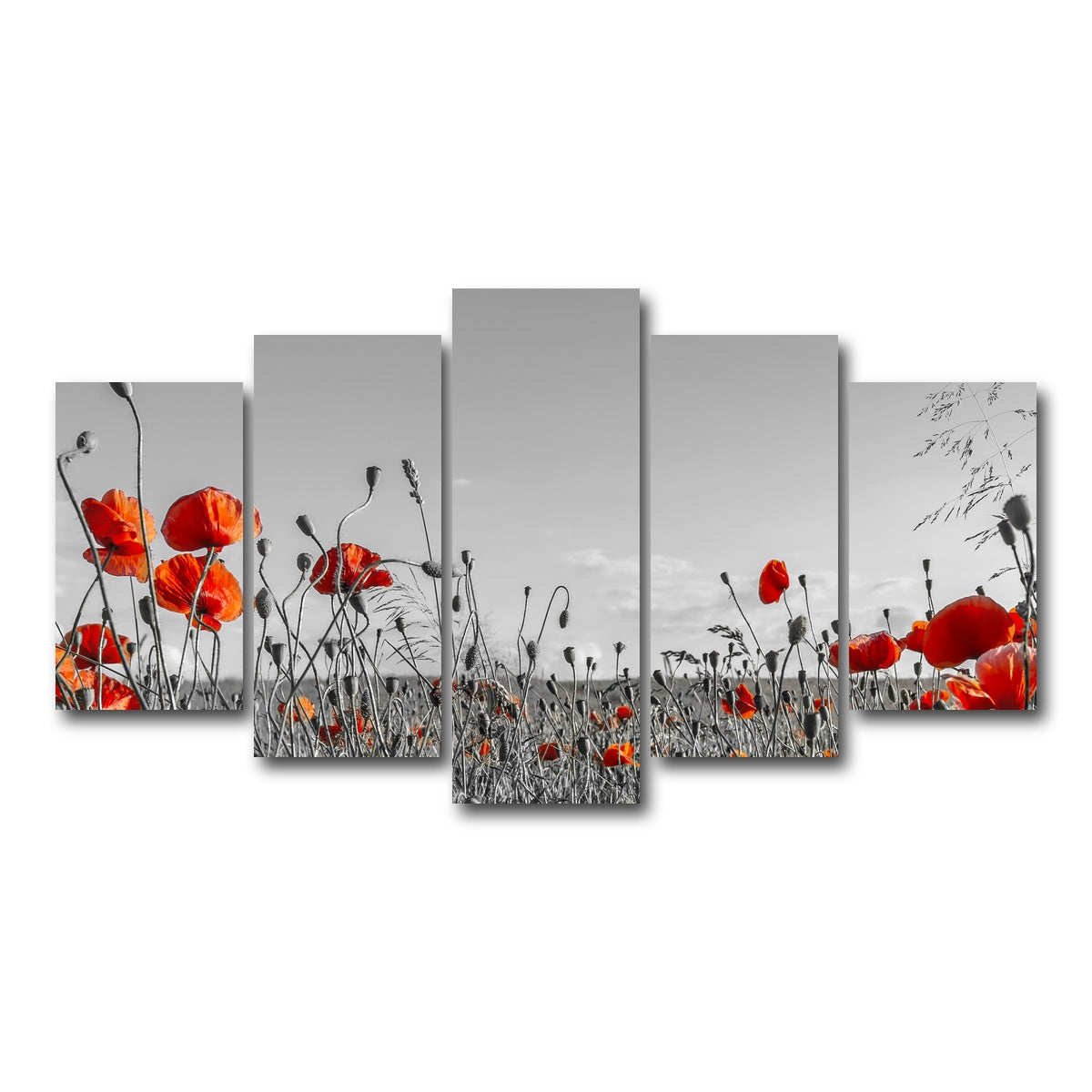 AUTO-MOCKUP WHITE | Lovely Poppy Field | 5 Piece | Gallery Wrap Canvas | group=5_normal
