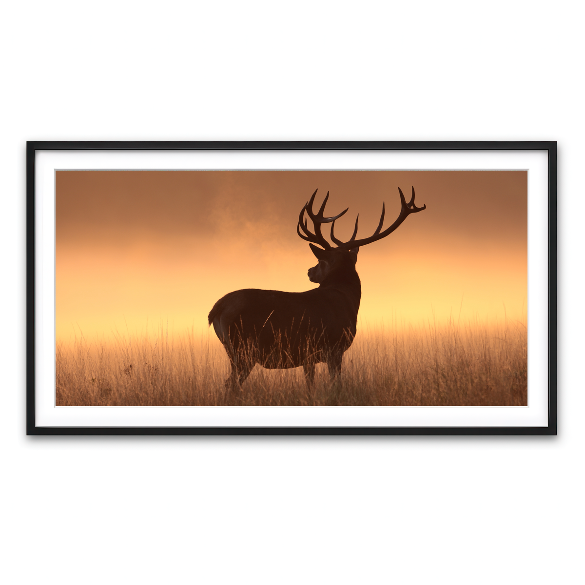 Framed Print 2x1 Black