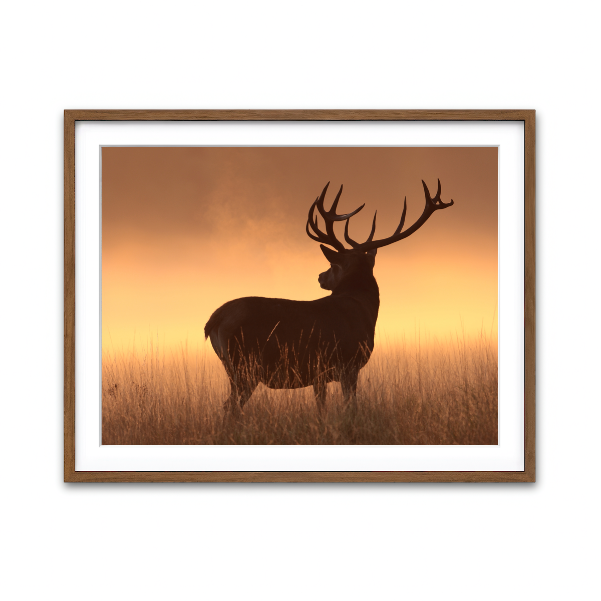 Framed Print 4x3 Walnut