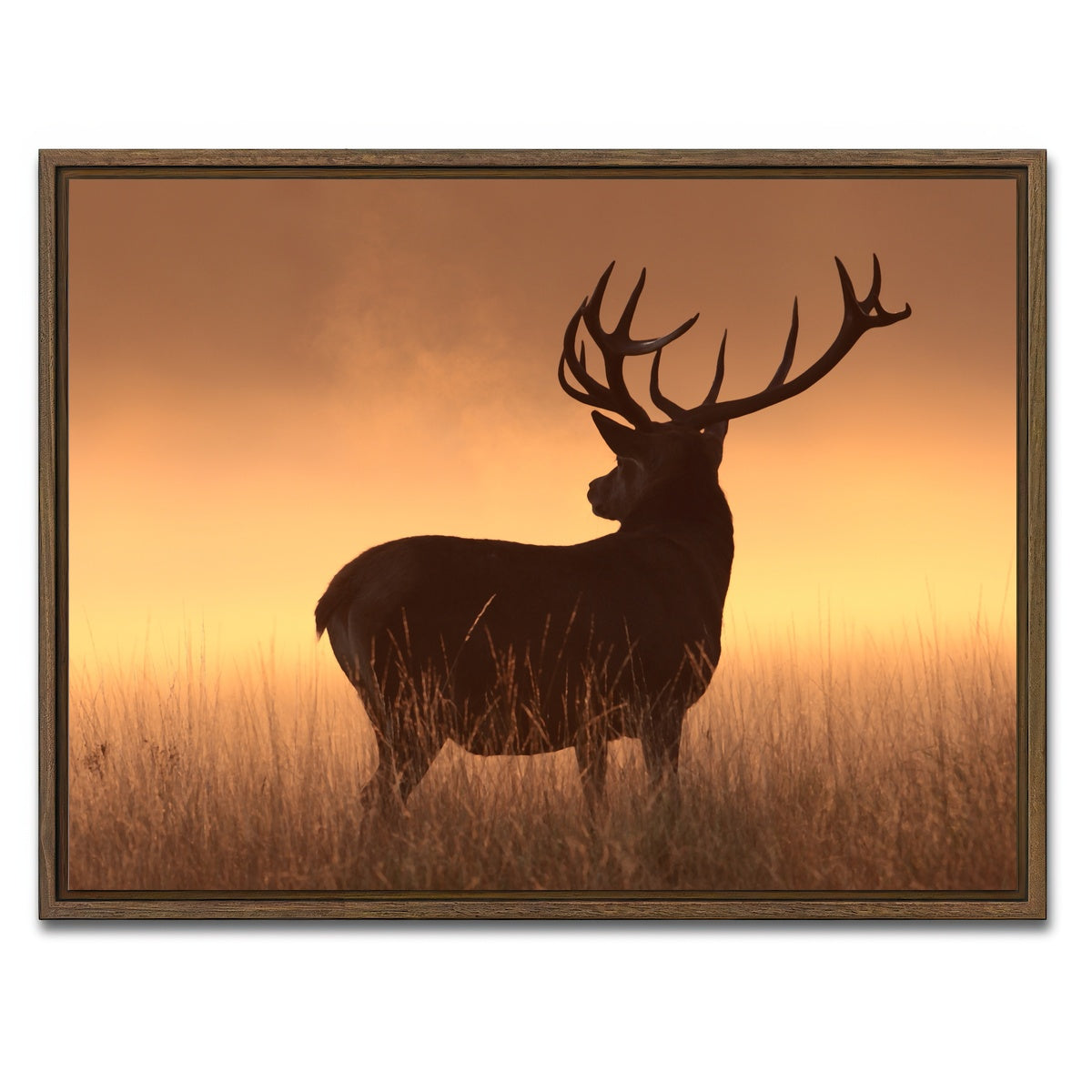 AUTO-MOCKUP WHITE | Majestic Deer | 1 Piece | Walnut Framed Canvas | group=4x3