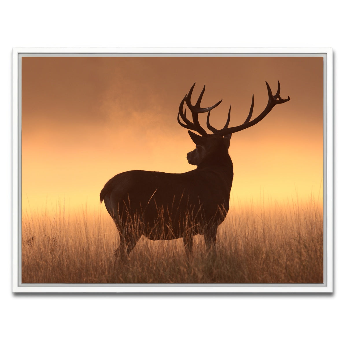 AUTO-MOCKUP WHITE | Majestic Deer | 1 Piece | White Framed Canvas | group=4x3
