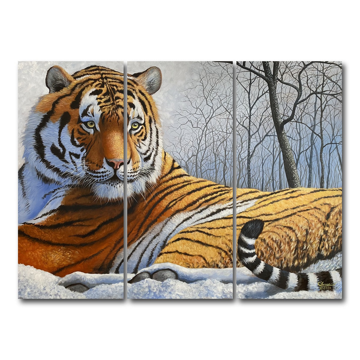 AUTO-MOCKUP WHITE | Majestic Tiger | 3 Piece | Gallery Wrap Canvas | group=8x18