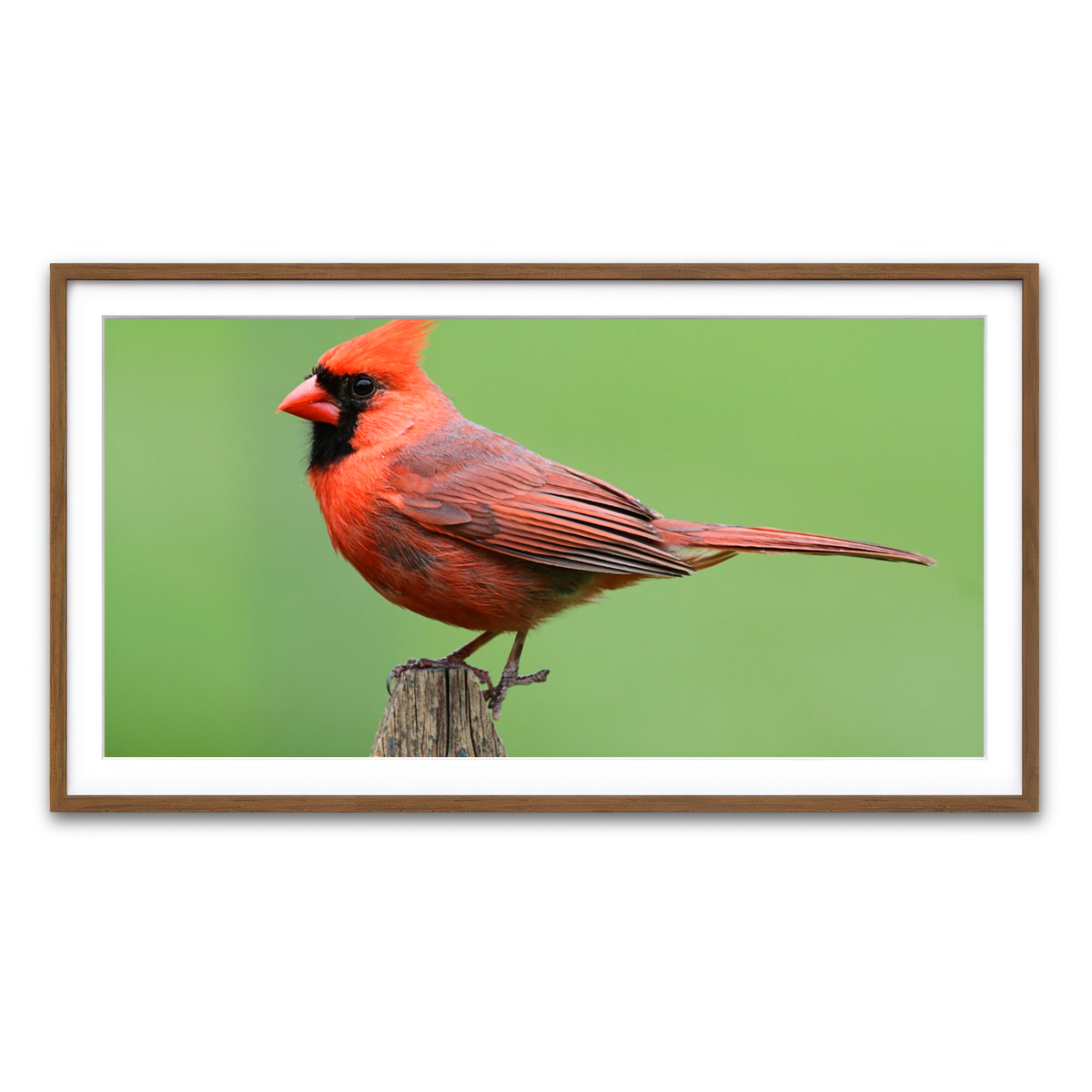 Framed Print 2x1 Walnut