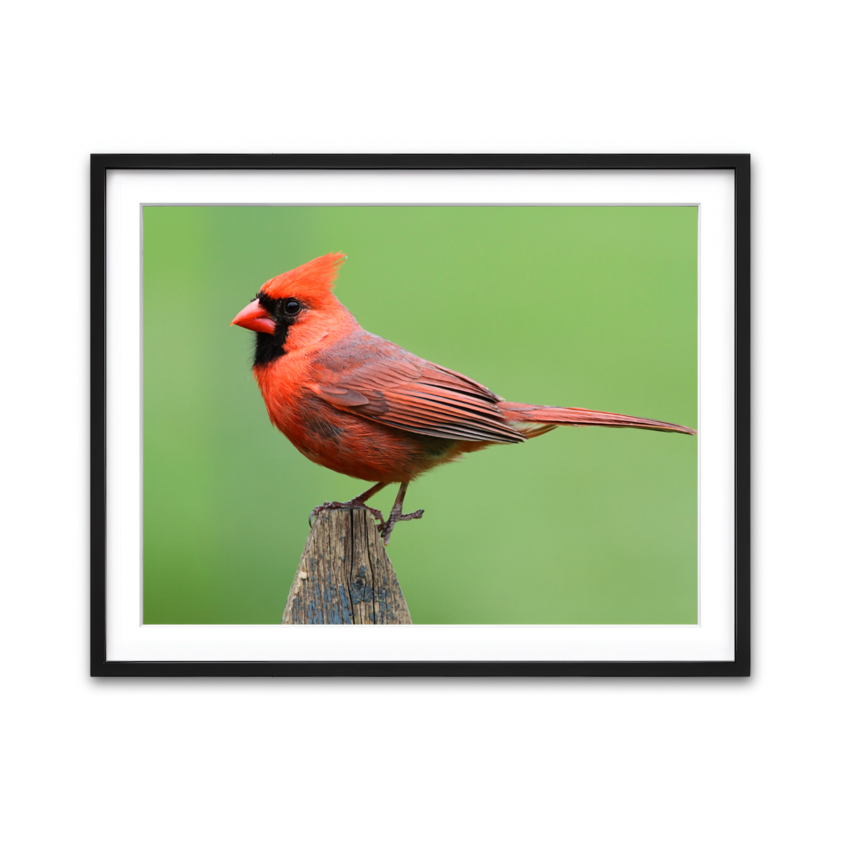 Framed Print 4x3 Black